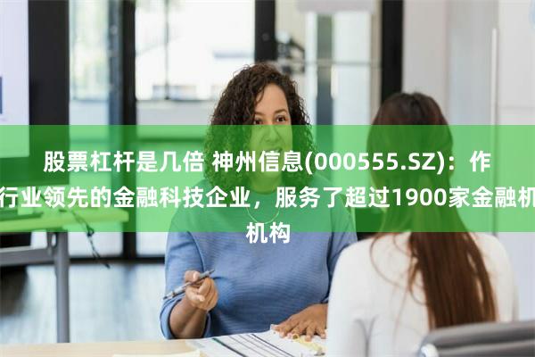 股票杠杆是几倍 神州信息(000555.SZ)：作为行业