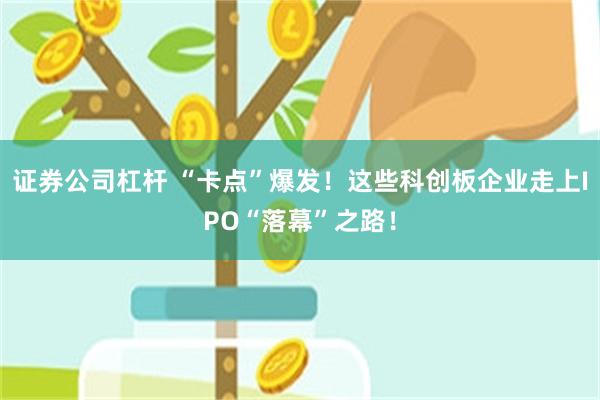 证券公司杠杆 “卡点”爆发！这些科创板企业走上IPO“落