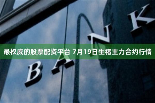 最权威的股票配资平台 7月19日生猪主力合约行情