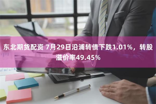 东北期货配资 7月29日沿浦转债下跌1.01%，转股溢价率49.45%