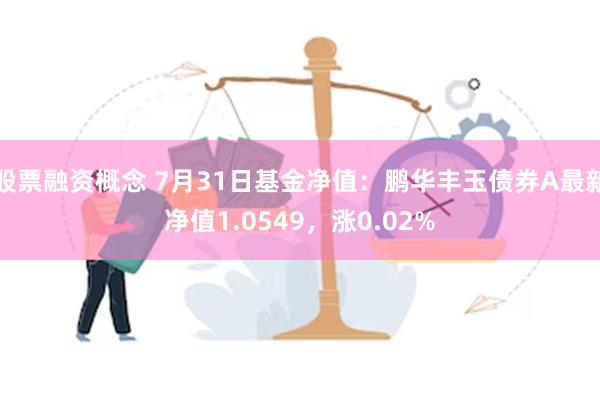 股票融资概念 7月31日基金净值：鹏华丰玉债券A最新净值