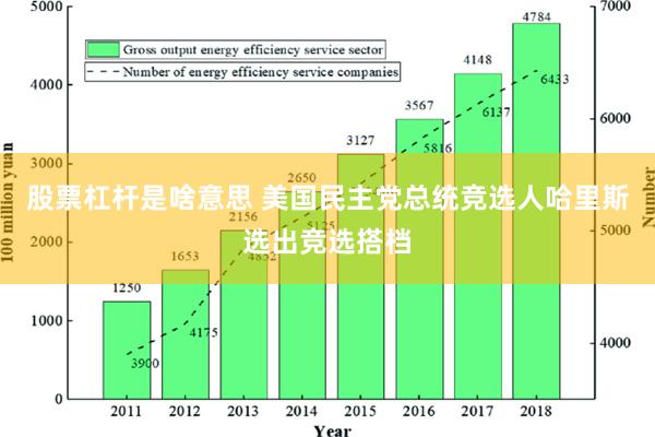 股票杠杆是啥意思 美国民主党总统竞选人哈里斯选出竞选搭档