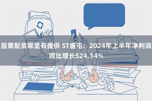 股票配资哪里有提供 ST盛屯：2024年上半年净利润同比