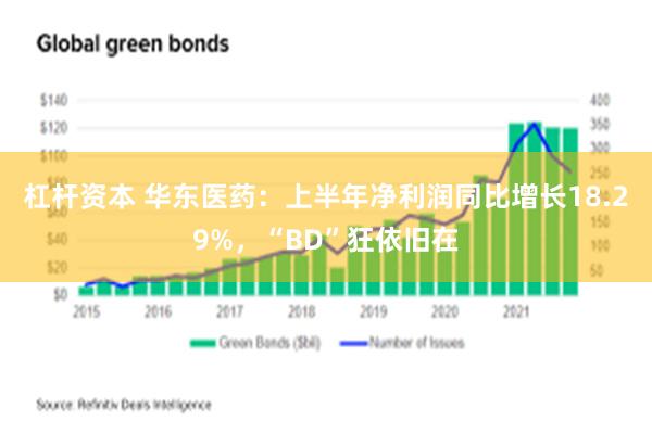 杠杆资本 华东医药：上半年净利润同比增长18.29%，“BD”狂依旧在