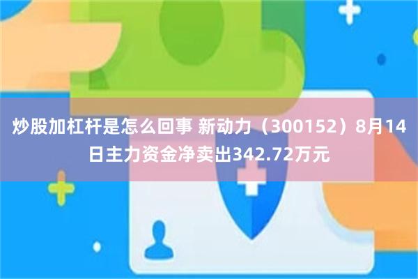 炒股加杠杆是怎么回事 新动力（300152）8月14日主力资金净卖出342.72万元