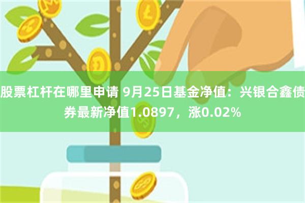 股票杠杆在哪里申请 9月25日基金净值：兴银合鑫债券最新净值1.0897，涨0.02%