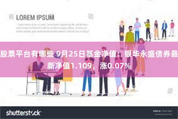 股票平台有哪些 9月25日基金净值：银华永盛债券最新净值1.109，涨0.07%