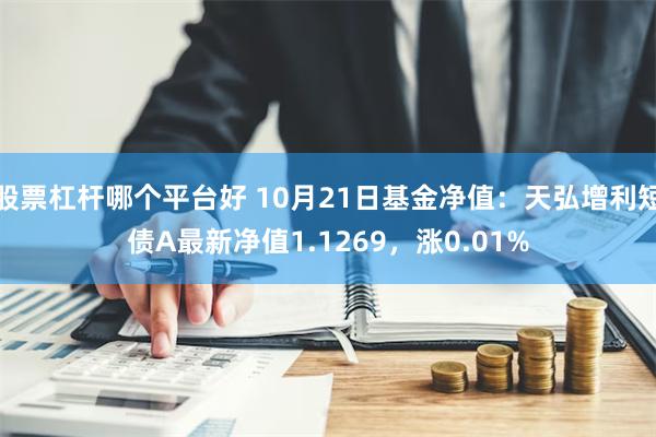 股票杠杆哪个平台好 10月21日基金净值：天弘增利短债A