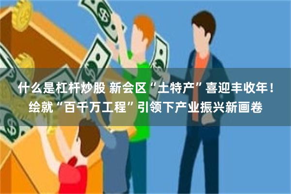 什么是杠杆炒股 新会区“土特产”喜迎丰收年！绘就“百千万工程”引领下产业振兴新画卷