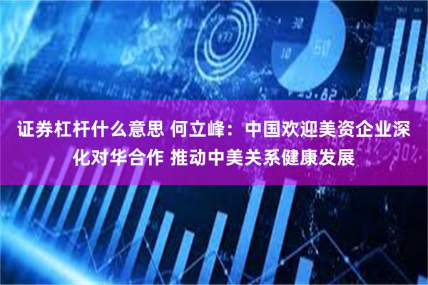 证券杠杆什么意思 何立峰：中国欢迎美资企业深化对华合作 推动中美关系健康发展