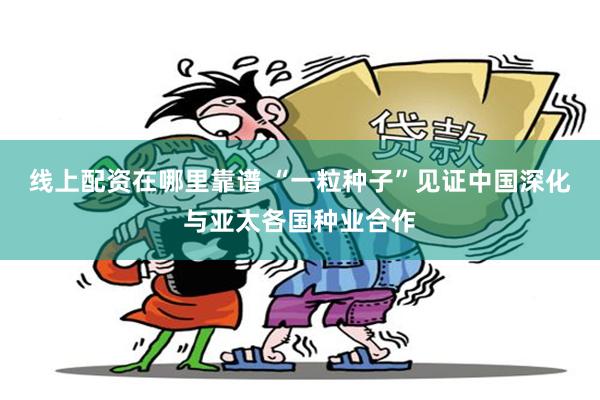 线上配资在哪里靠谱 “一粒种子”见证中国深化与亚太各国种业合作