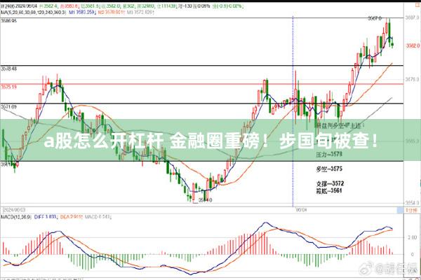 a股怎么开杠杆 金融圈重磅！步国旬被查！