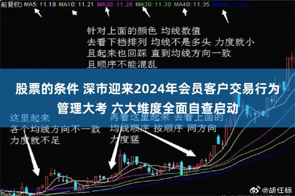 股票的条件 深市迎来2024年会员客户交易行为管理大考 六大维度全面自查启动