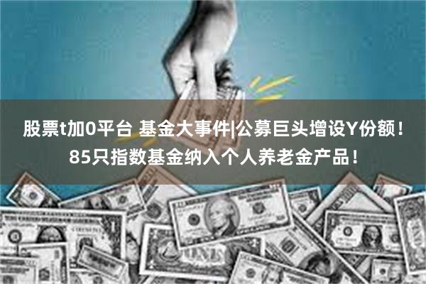 股票t加0平台 基金大事件|公募巨头增设Y份额！85只指数基金纳入个人养老金产品！