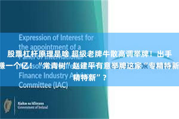 股票杠杆原理是啥 超级老牌牛散高调举牌！出手爆赚一个亿！“常青树”赵建平有意举牌这家“专精特新”？