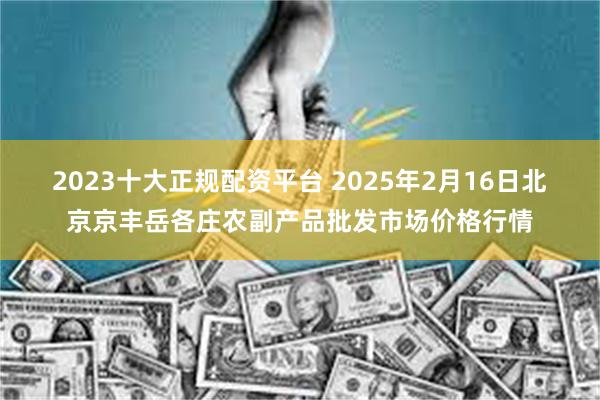 2023十大正规配资平台 2025年2月16日北京京丰岳各庄农副产品批发市场价格行情