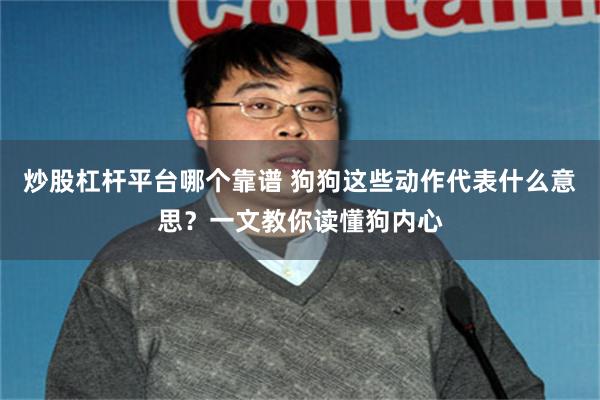 炒股杠杆平台哪个靠谱 狗狗这些动作代表什么意思？一文教你读懂狗内心