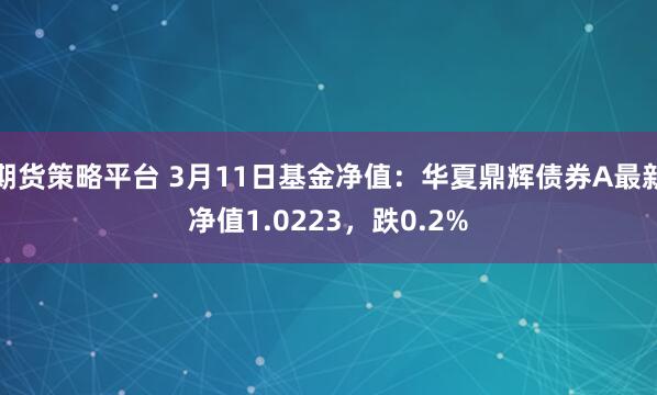 期货策略平台 3月11日基金净值：华夏鼎辉债券A最新净值1.0223，跌0.2%