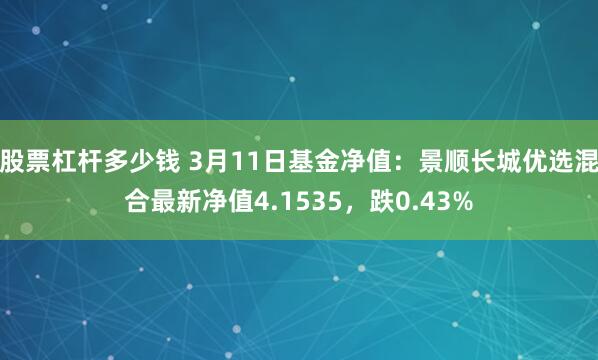 股票杠杆多少钱 3月11日基金净值：景顺长城优选混合最新净值4.1535，跌0.43%