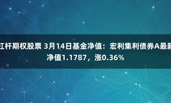 杠杆期权股票 3月14日基金净值：宏利集利债券A最新净值1.1787，涨0.36%