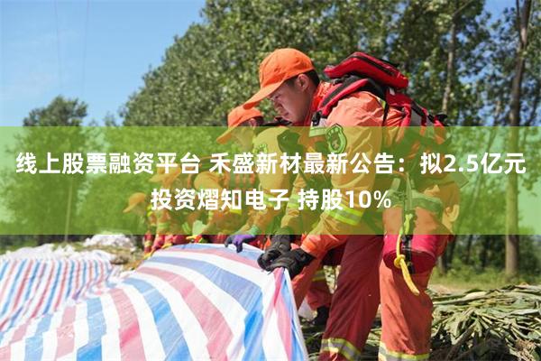 线上股票融资平台 禾盛新材最新公告:拟2.5亿元投资熠知电子 持股10%